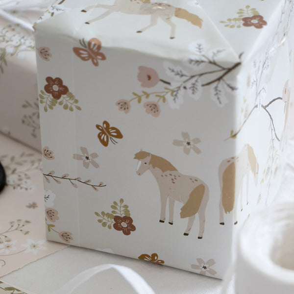 מארז ניירות עטיפה