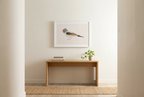 הדפס - Bird - Chaffinch (Fringilla coelebs)
