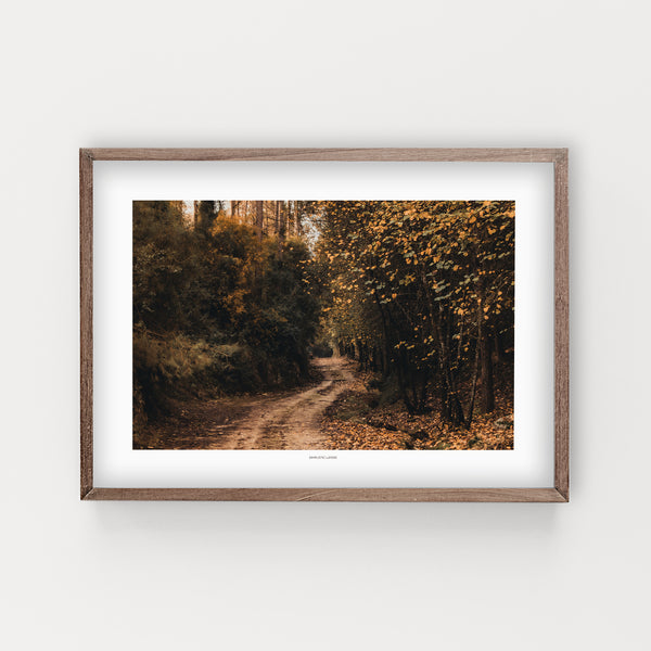 הדפס צילום - Fall Hashofet