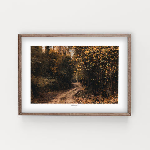 הדפס צילום - Fall Hashofet