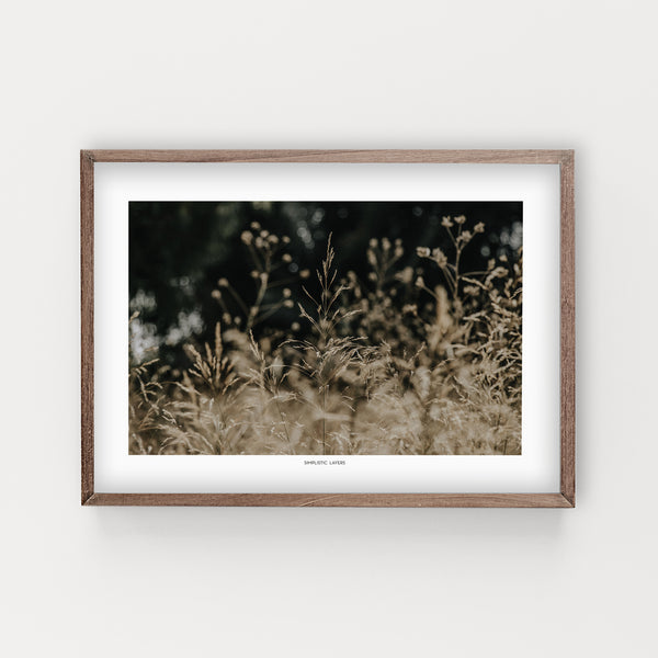 הדפס צילום - Golden Meadow