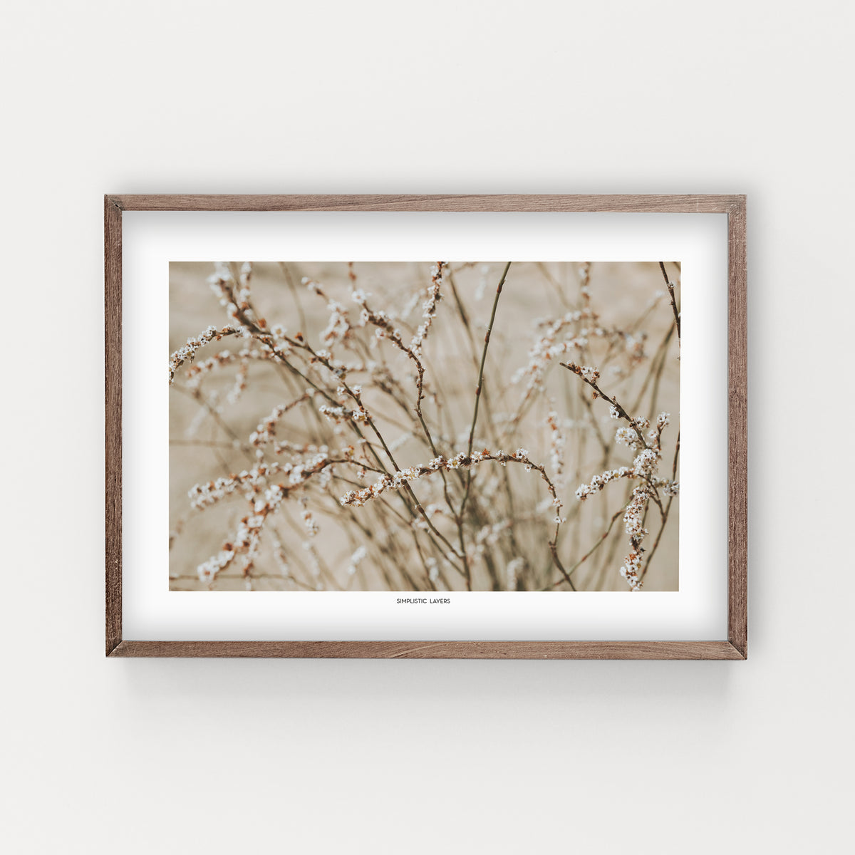 הדפס צילום -  Horsetail Knotweed ארכובית שבטבטית