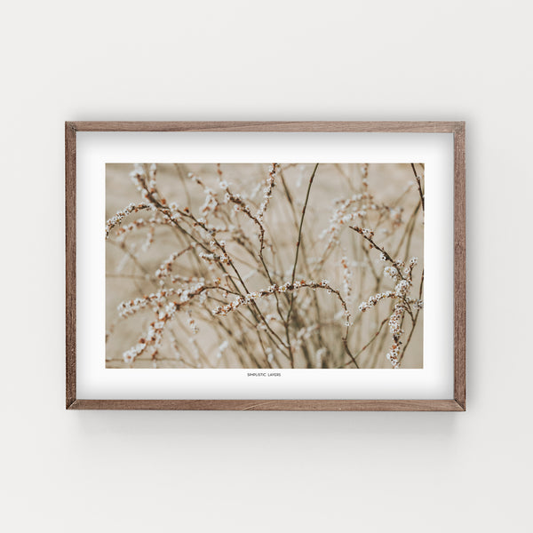 הדפס צילום -  Horsetail Knotweed ארכובית שבטבטית