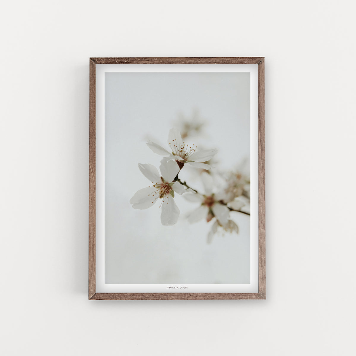 הדפס צילום - Almond Tree #16