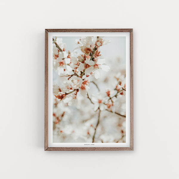 הדפס צילום - Almond Tree #9