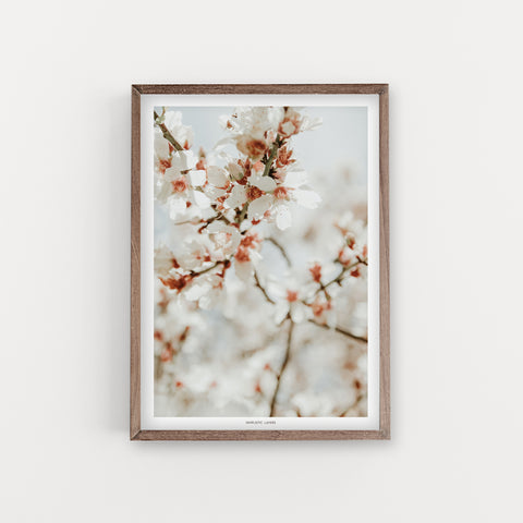 הדפס צילום - Almond Tree #9