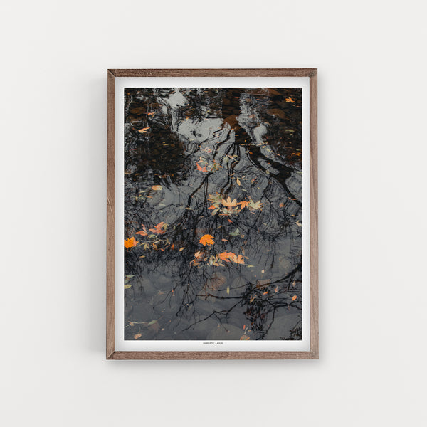 הדפס צילום - Fall leaf on water