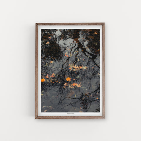 הדפס צילום - Fall leaf on water