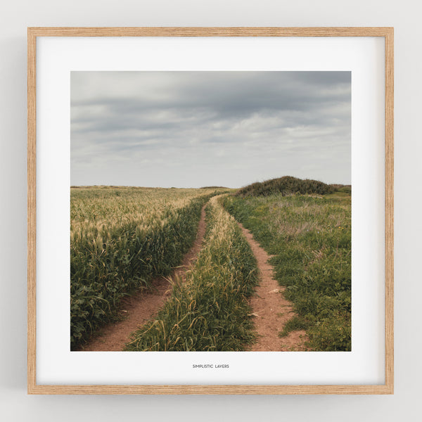 הדפס צילום - Habonim Beach Road