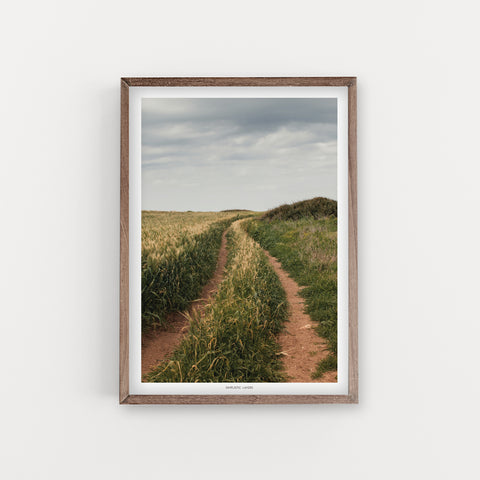 הדפס צילום - Habonim Beach Road