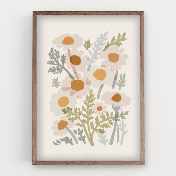 הדפס -  Common Chamomile