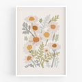 הדפס -  Common Chamomile