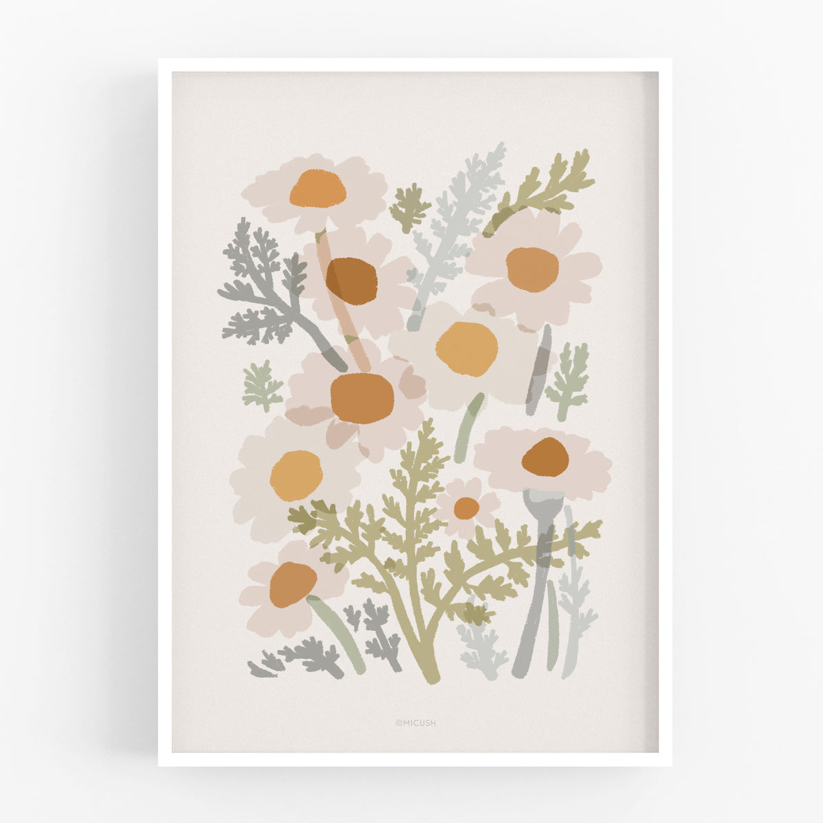 הדפס -  Common Chamomile