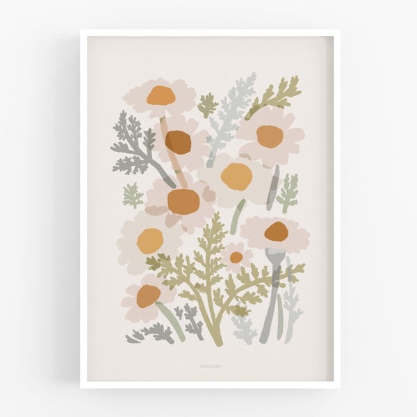 הדפס -  Common Chamomile