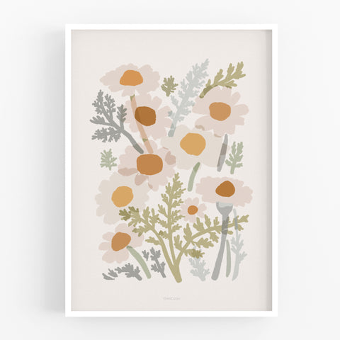 הדפס -  Common Chamomile