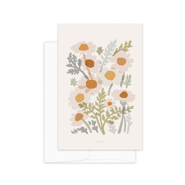 גלויה - Common Chamomile