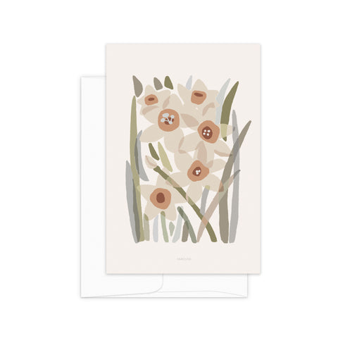 גלויה - Daffodil