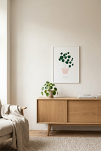 הדפס - Pilea peperomioides