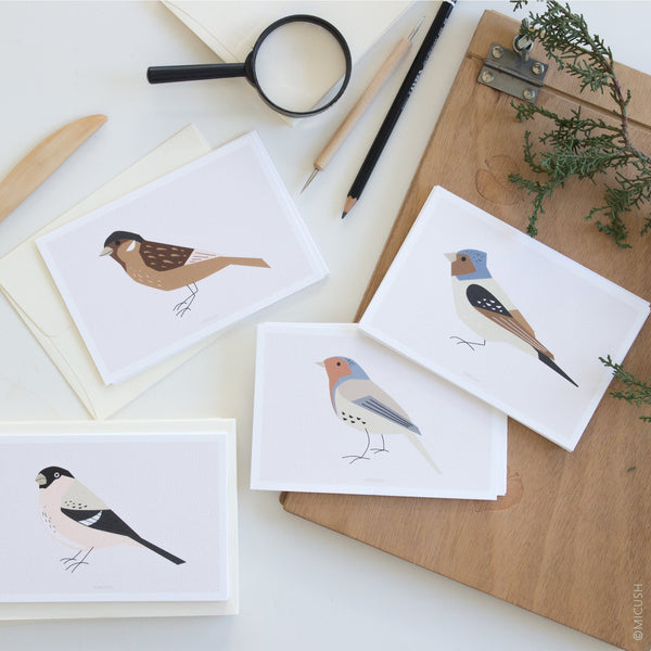 גלויה - Sparrow Bird - Birds no.4