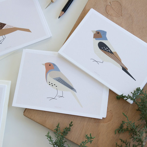 גלויה - Fringilla Coelebs - Birds no.3