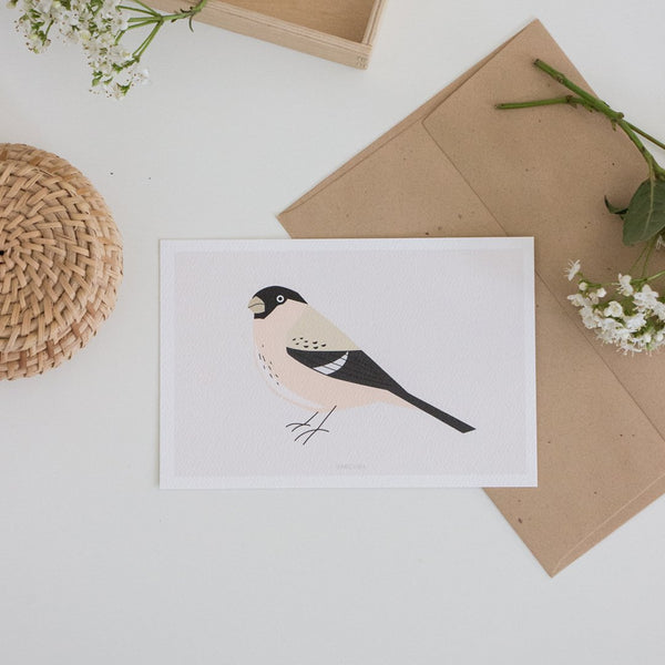 גלויה -  Pyrrhula Bird - Birds no.2