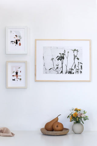 סט הדפסים - Fig