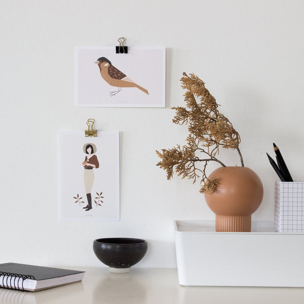 גלויה - Sparrow Bird - Birds no.4