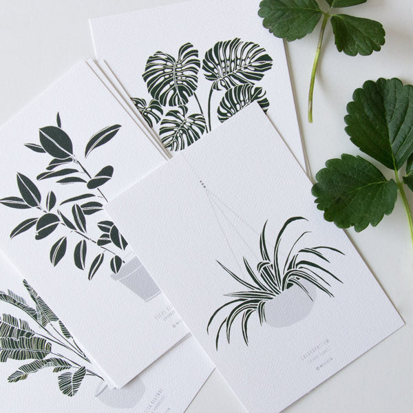 גלויה - Botanical - Strelitzia Reginae