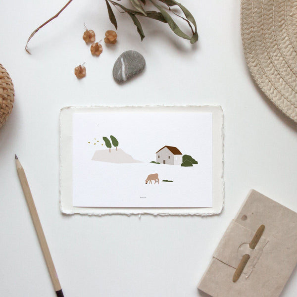 גלויה - Countryside - Cow