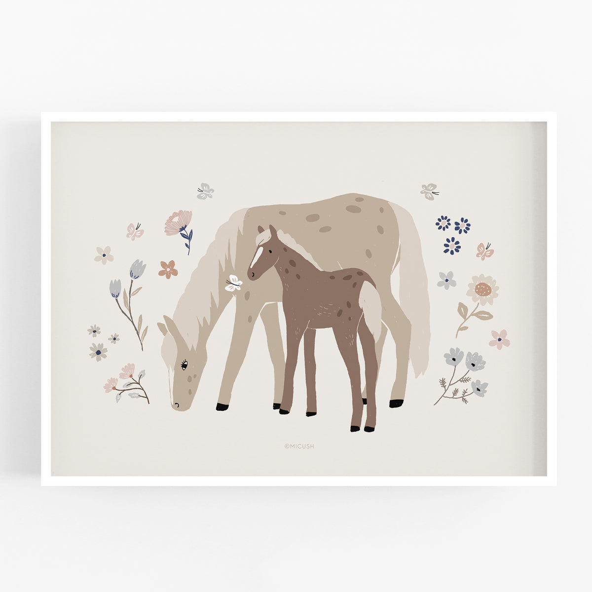 הדפס - Little foal
