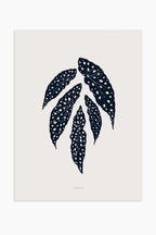 הדפס - Botanical silhouette - Begonia Maculata (Polka dot plant)