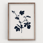 הדפס - Botanical silhouette - Fig