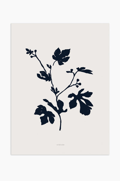הדפס - Botanical silhouette - Fig