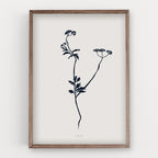 הדפס - Botanical silhouette - Torilis japonica