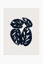 הדפס - Botanical silhouette - Monstera Obliqua Leaf