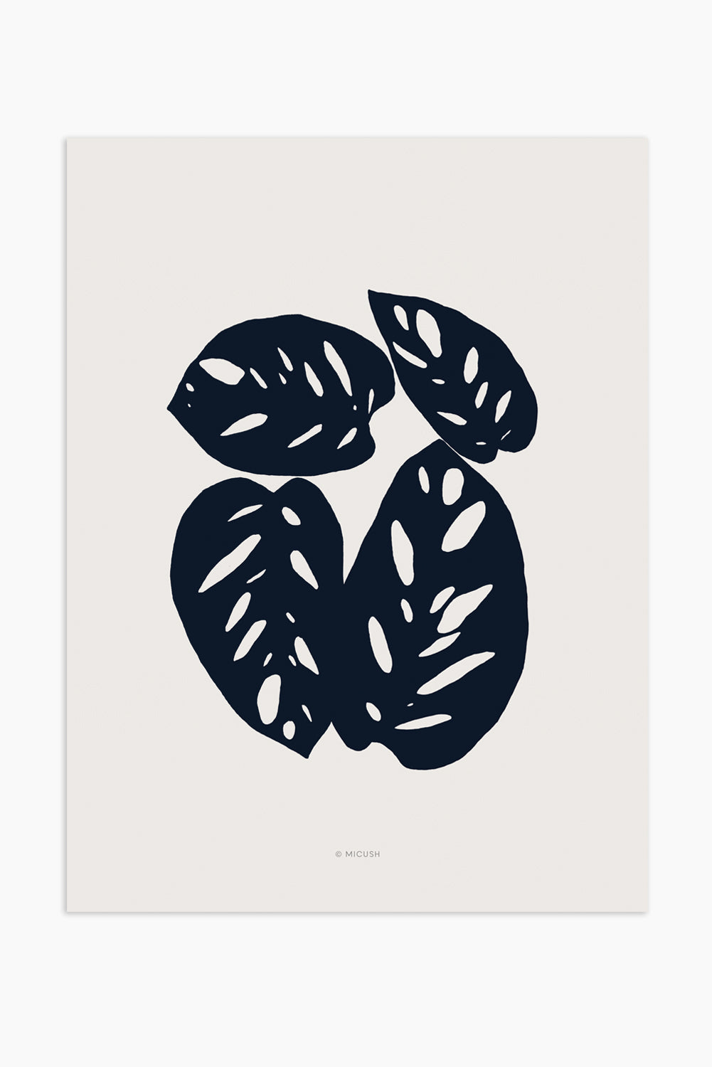 הדפס - Botanical silhouette - Monstera Obliqua Leaf