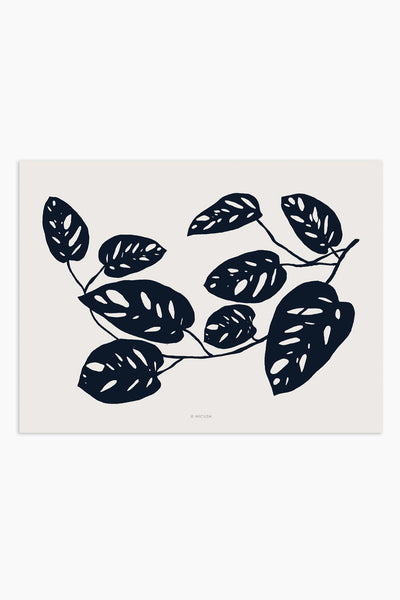 הדפס - Botanical silhouette - Monstera Obliqua