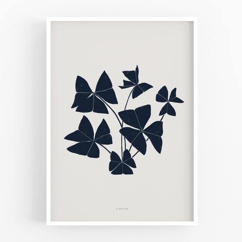 הדפס - Botanical silhouette - Oxalis triangularis (False shamrock)