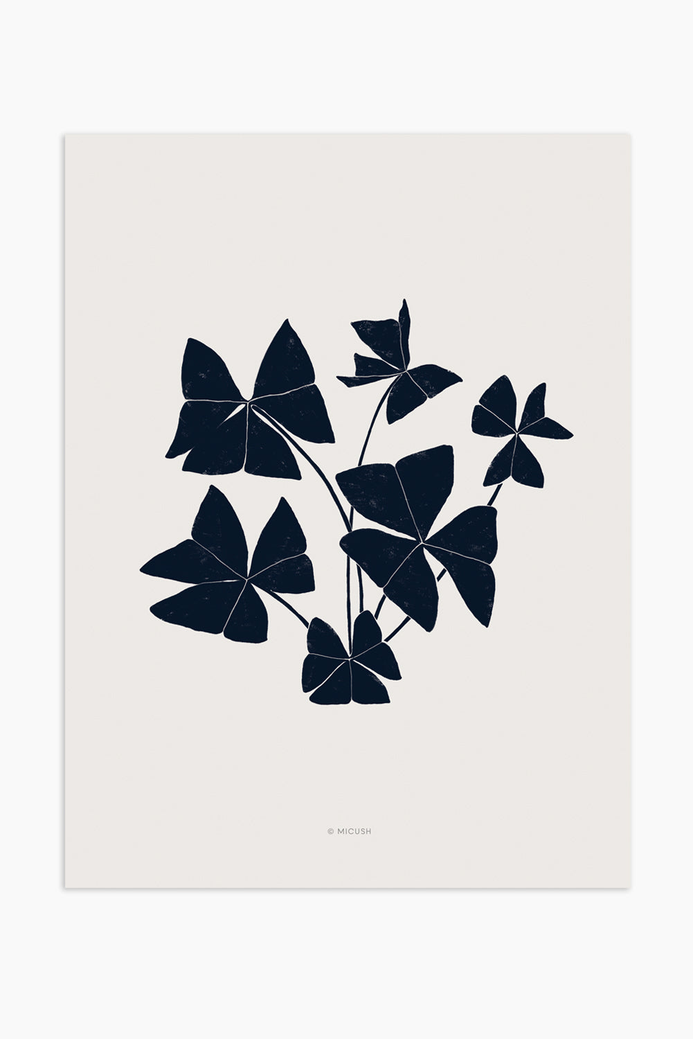 הדפס - Botanical silhouette - Oxalis triangularis (False shamrock)