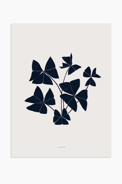 הדפס - Botanical silhouette - Oxalis triangularis (False shamrock)
