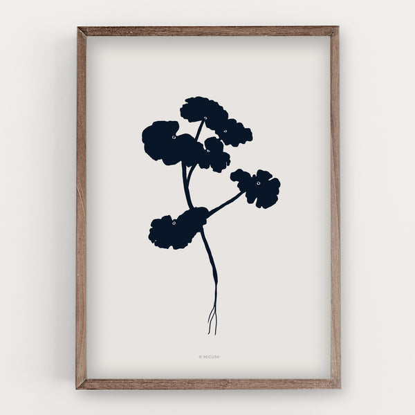 הדפס - Botanical silhouette - Pelargonium plant