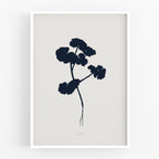 הדפס - Botanical silhouette - Pelargonium plant