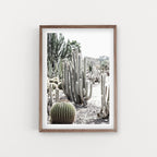 הדפס צילום - Giant Saguaro