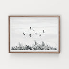 הדפס צילום - Migrating cranes