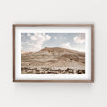 הדפס צילום - Desert Landscape