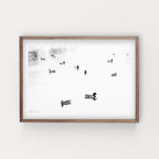 הדפס צילום - Ducks