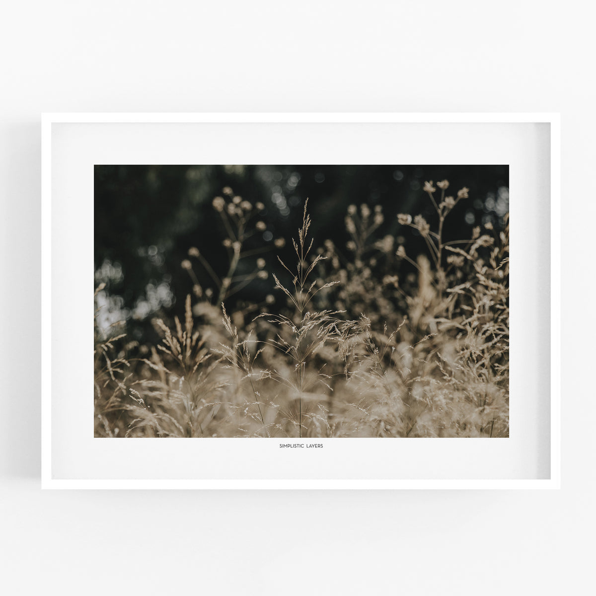 הדפס צילום - Golden Meadow