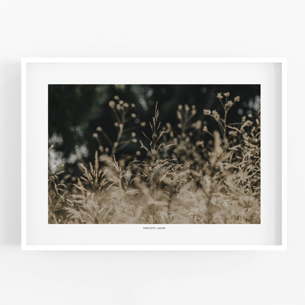 הדפס צילום - Golden Meadow