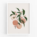 הדפס - Harvest - Peaches