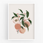 הדפס - Harvest - Peaches